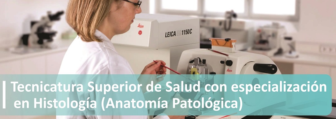 Banner Histologia
